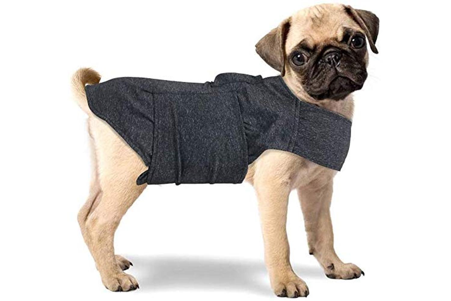 All For Paws Pei-264535 - All For Paws Calm Paws Dog Anti An