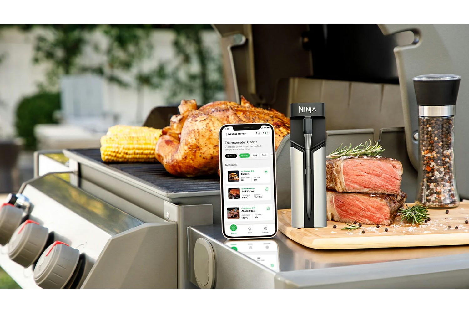 Ninja ProChef Wireless Thermometer | WP100EU