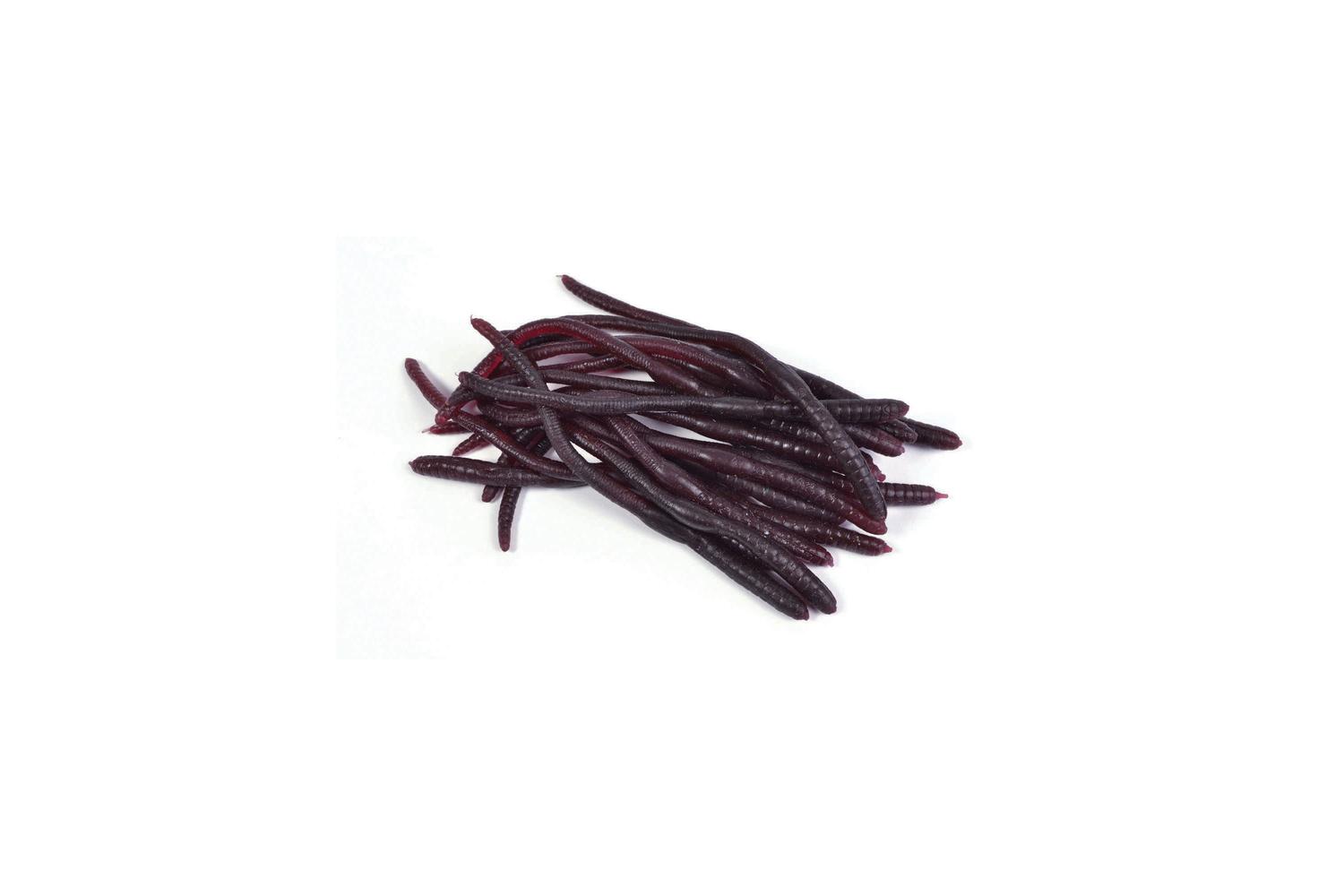 Rubies | Rb-gj429 | Earthworms (20pcs)