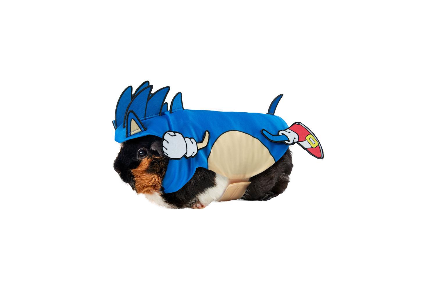 Rubies | Rb-203160xs000 | Son- Sonic Small Pet Costume - Xs
