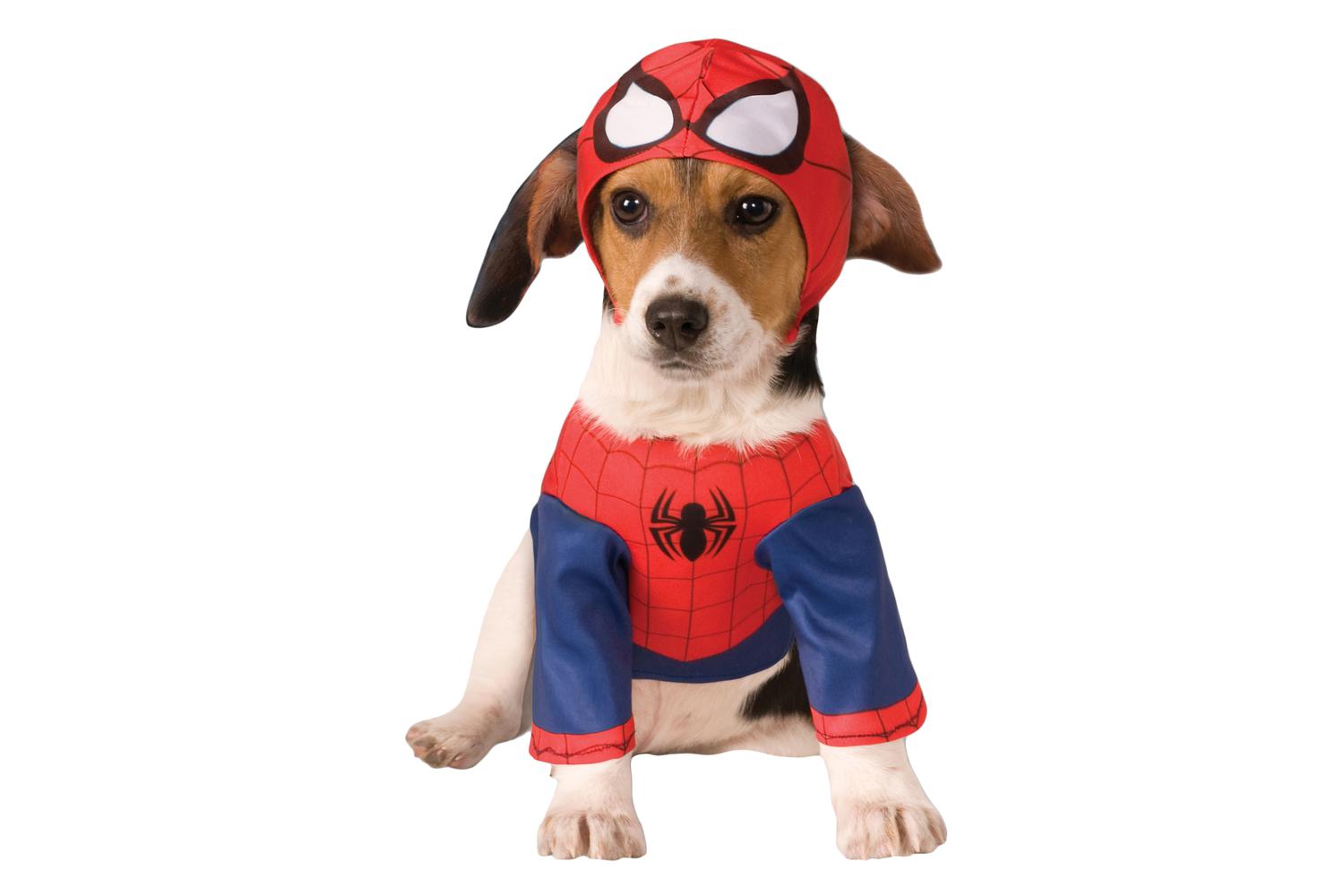 Rubies | Rb-580066-m | Spiderman Pet Costume M