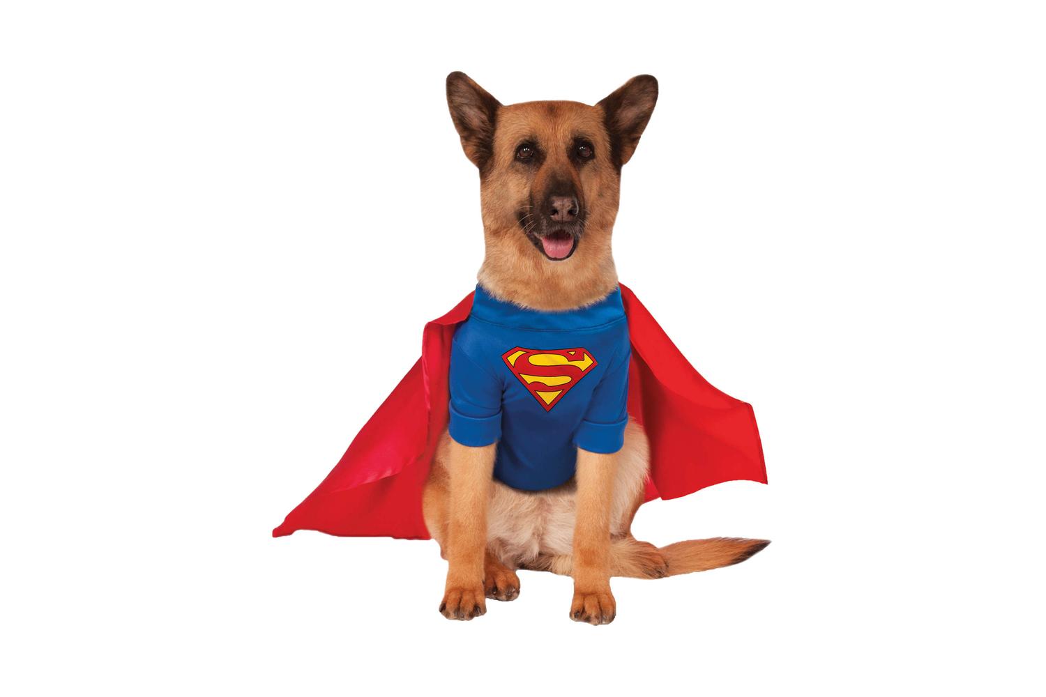 Rubies | Rb-580283-xxxl | Xxxl Superman Pet Costume Xxxl