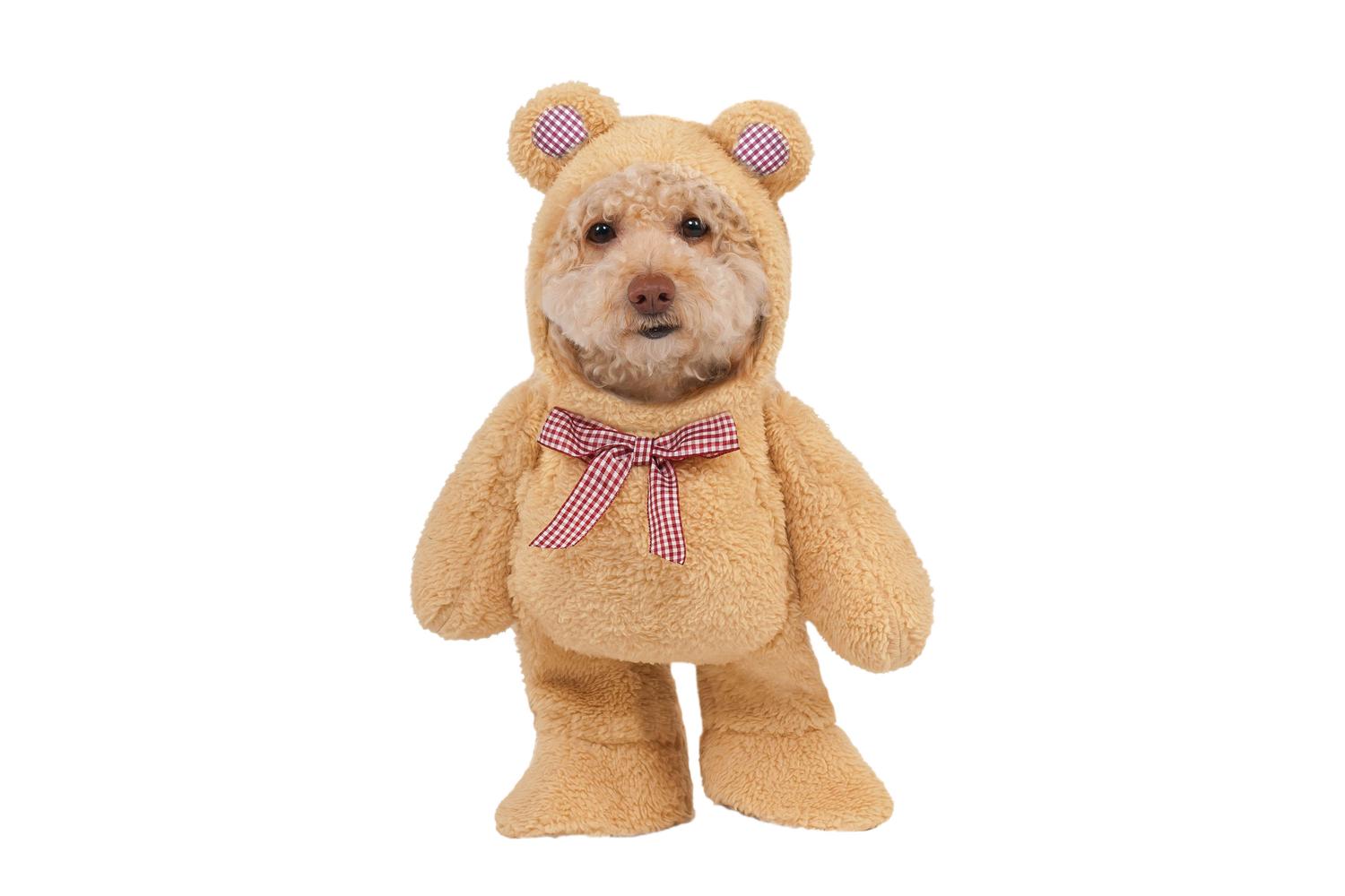 Rubies | Rb-580329lxl-xl | Walking Teddy Bear Pet Costume Xl