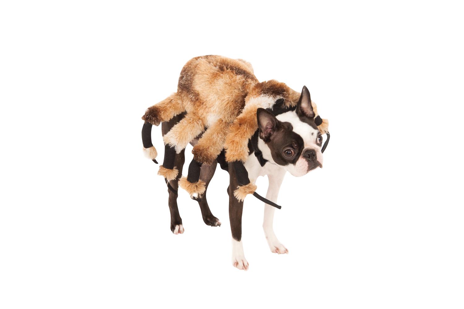 Rubies | Rb-580358-l | Giant Spider Pet Costume L