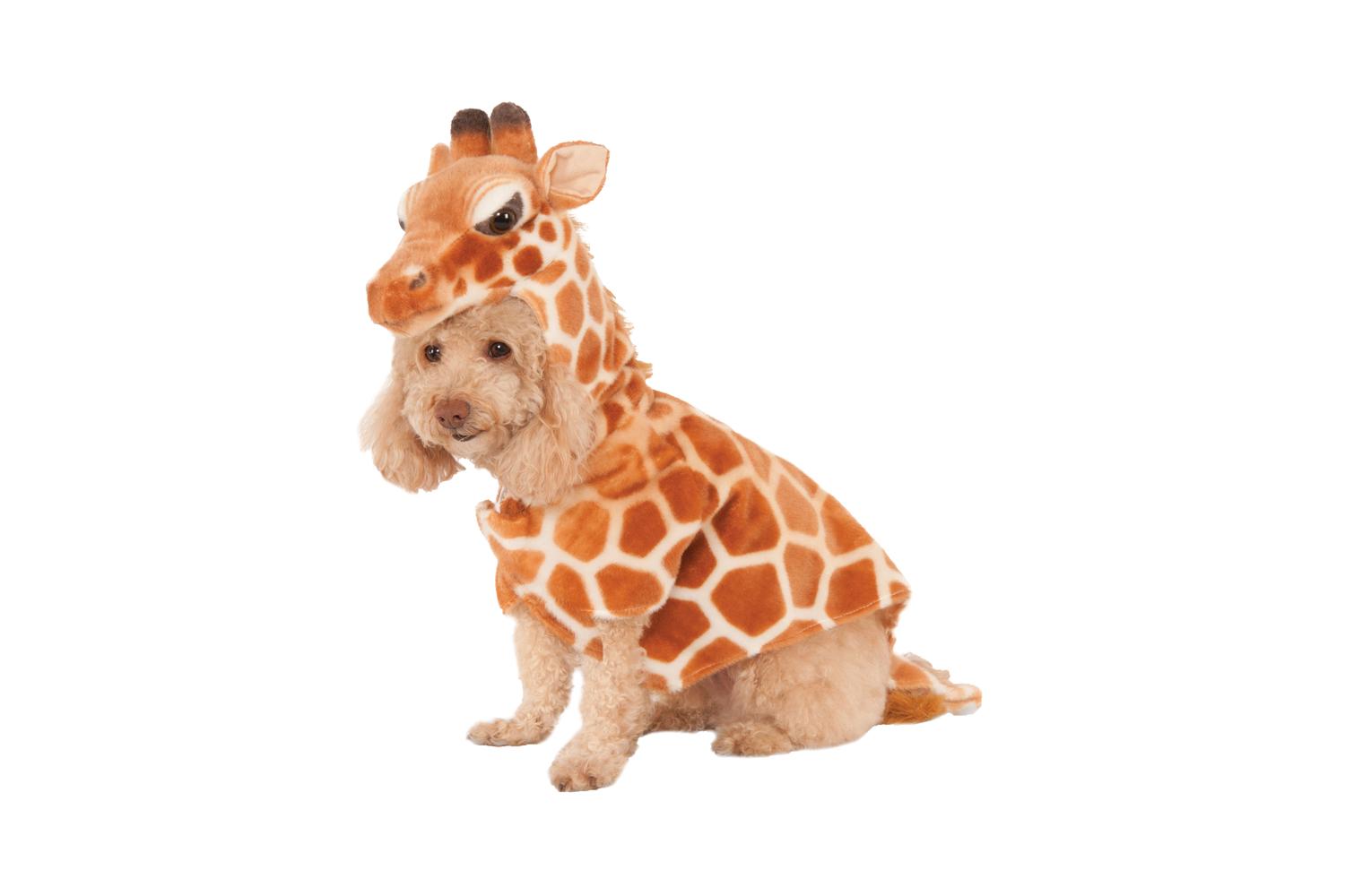 Rubies | Rb-580408-xs | Giraffe Pet Costume Xs