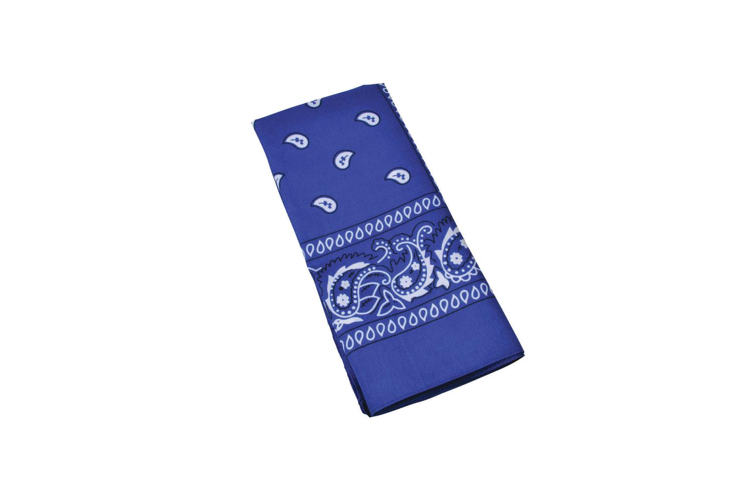 Rubies | Rb-ba482b | Cowboy Bandana/blue