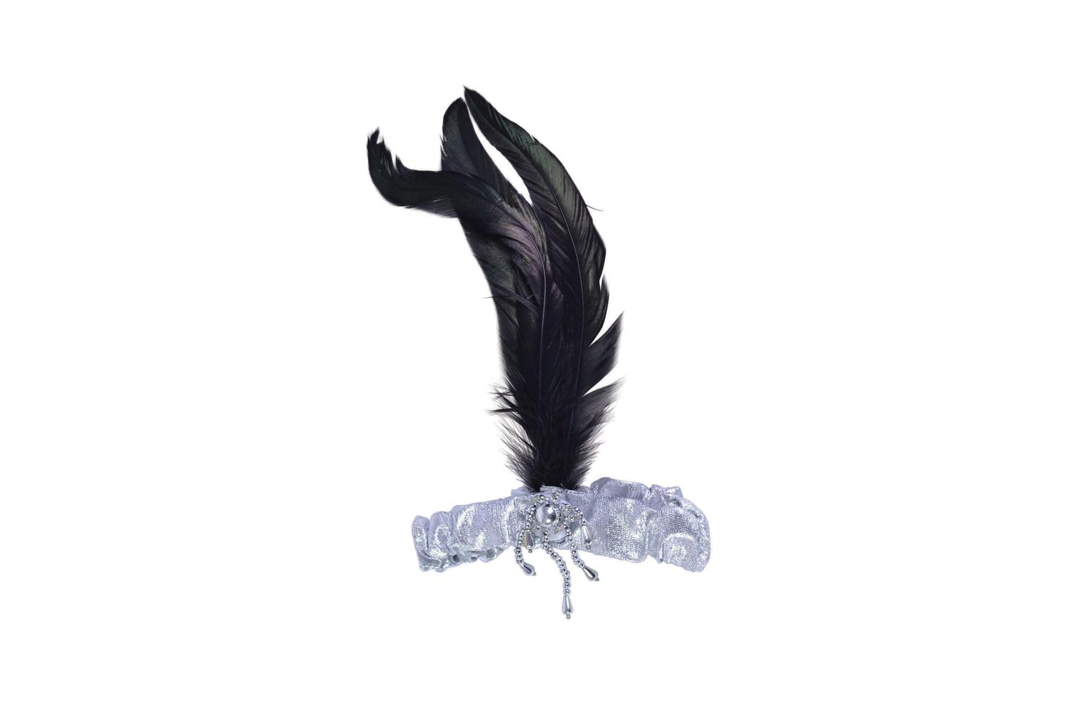 Rubies | Rb-ba2816 | Silver Headband With Black Feathers