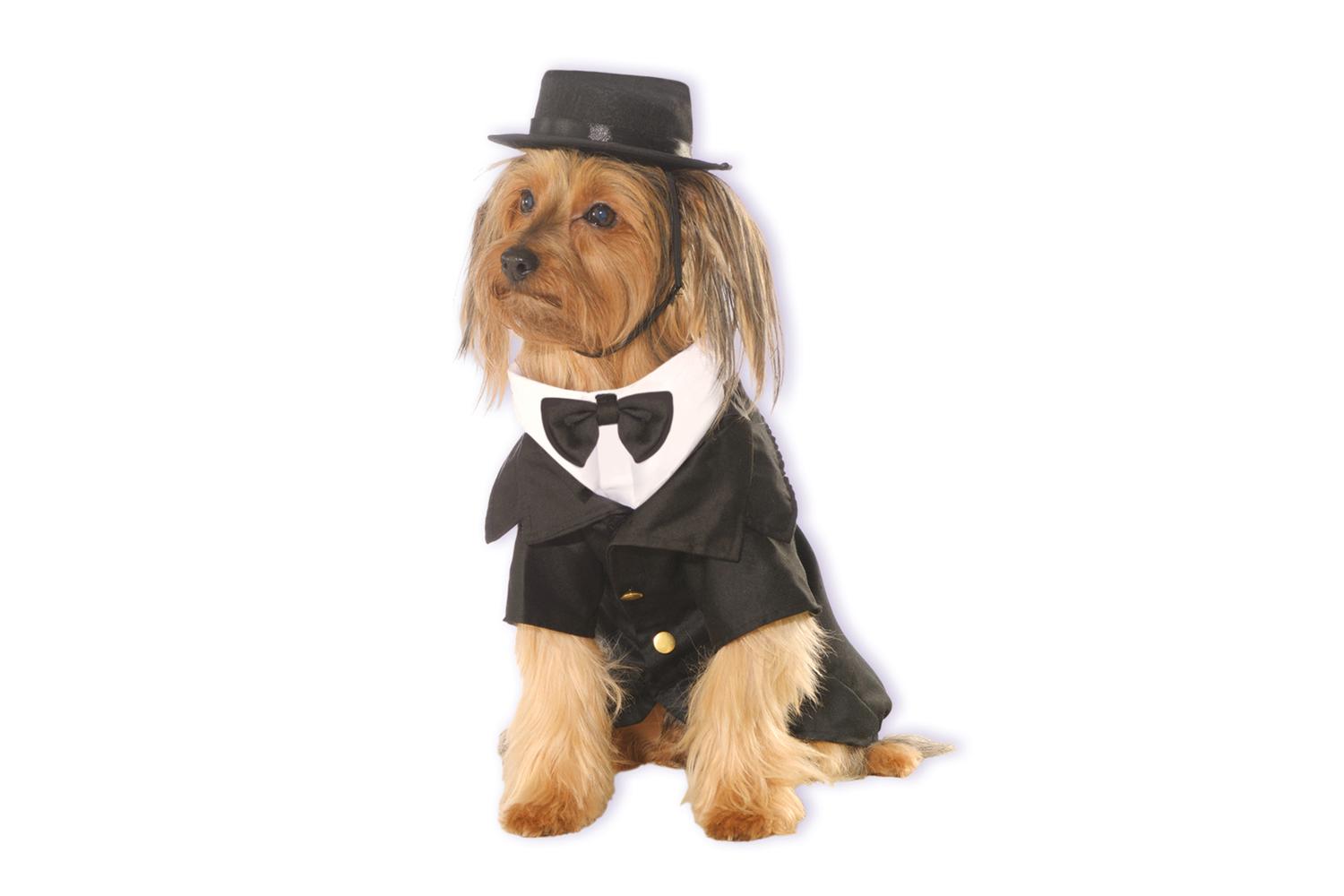Rubies | Rb-885933-m | Dapper Pet Costume M