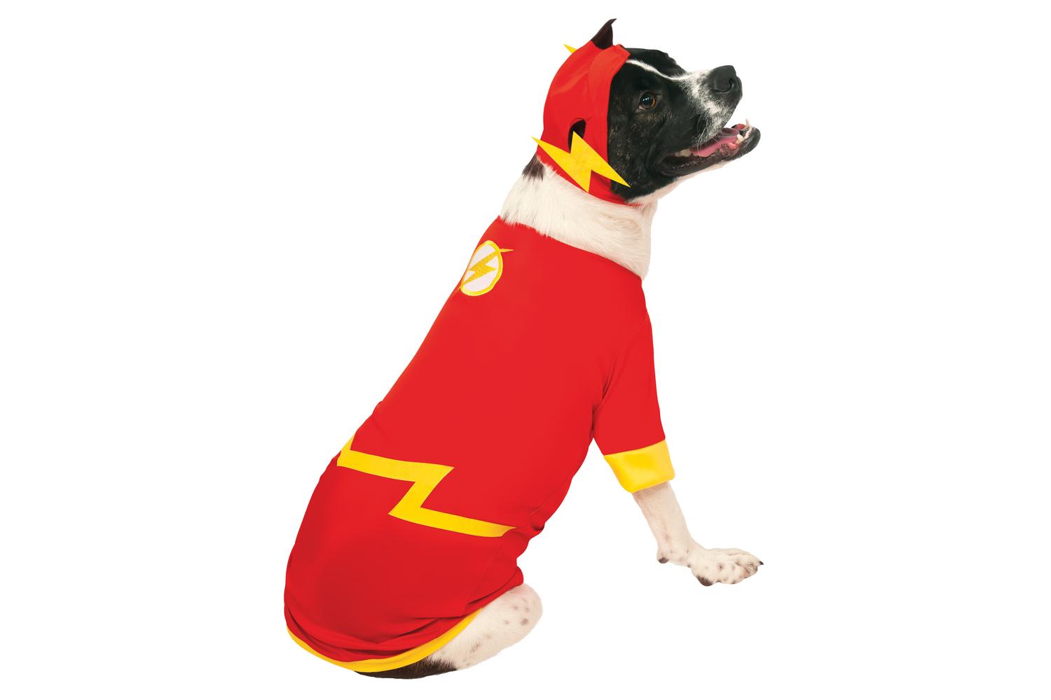 Rubies | Rb-887844-m | Flash Pet Costume M