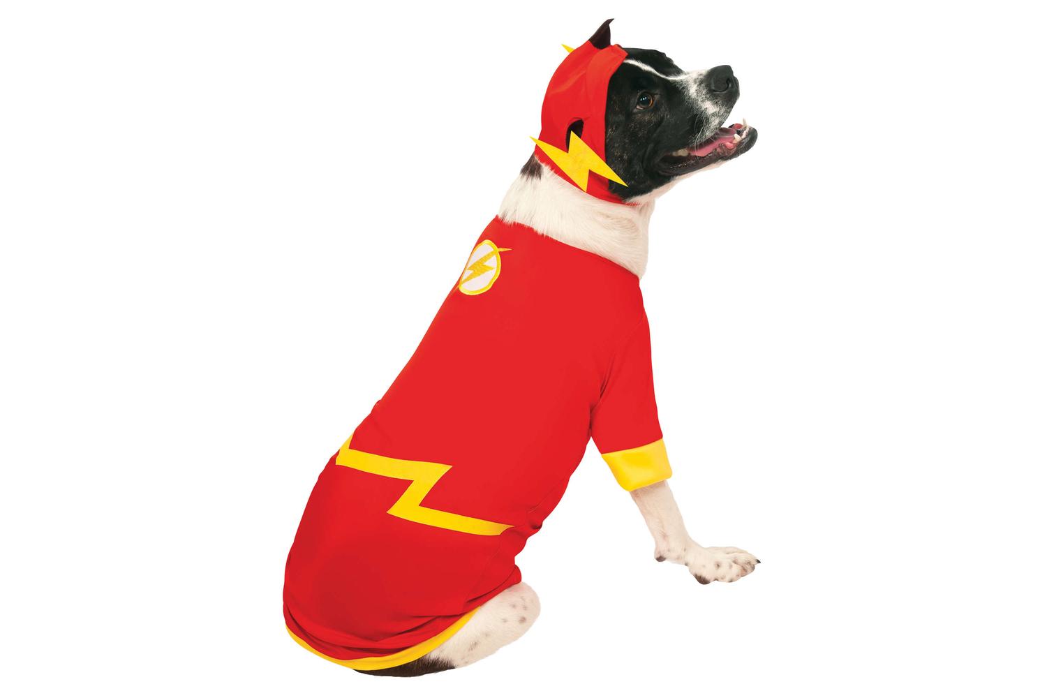Rubies | Rb-887844lxl-l | Flash Pet Costume L