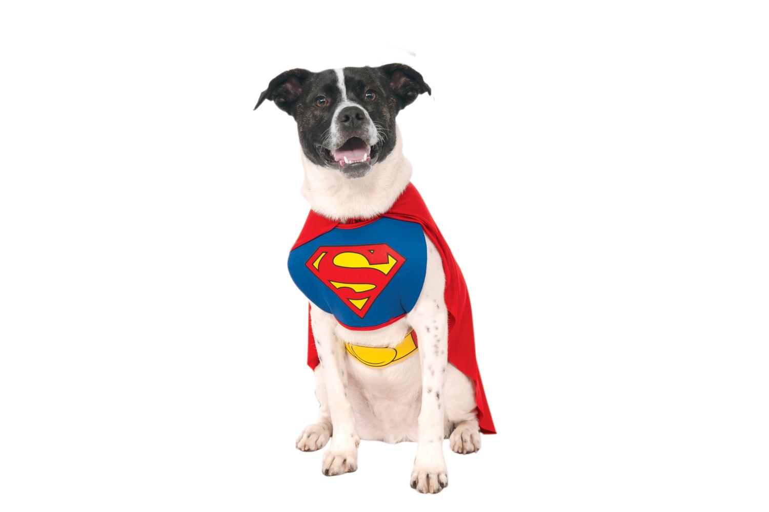 Rubies | Rb-887892lxl-l | Superman Dog Costume L