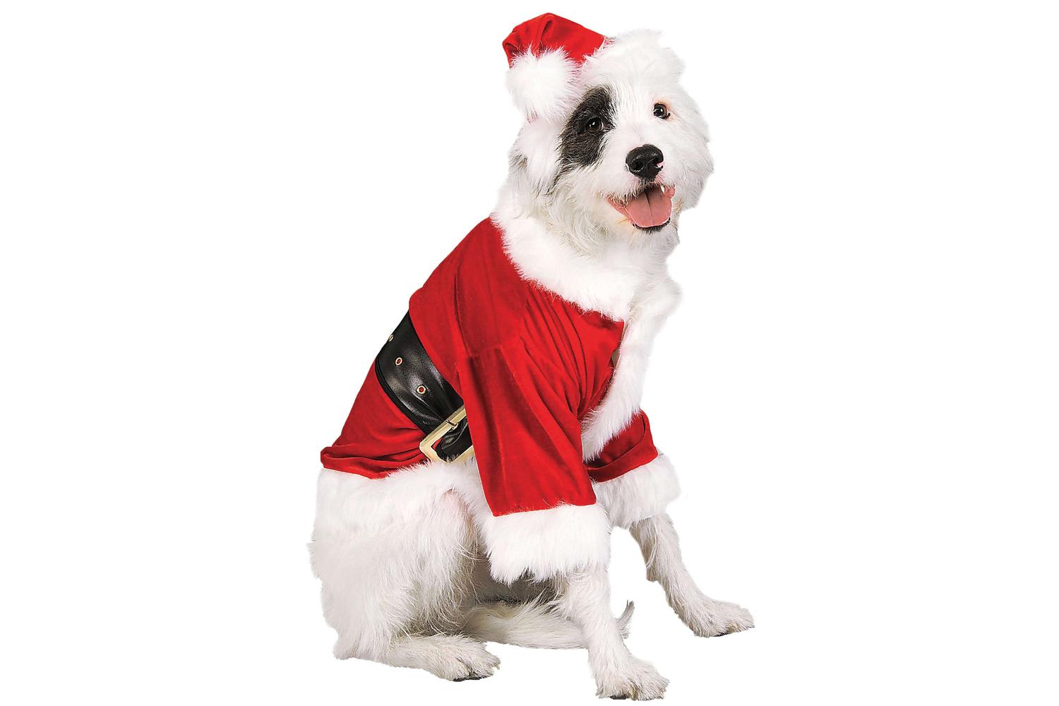 Rubies | Rb-887895-m | Santa Claus Pet Costume M