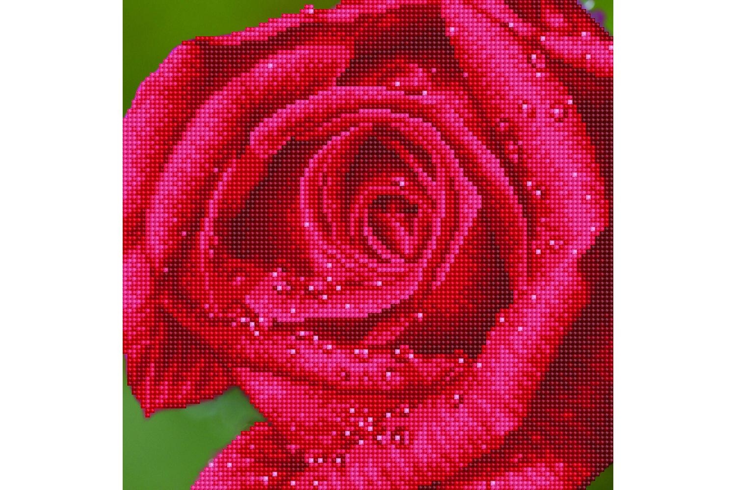 Diamond Dotz Gro-dd5.039 - Rose Dew - Diamond Painting Kit R