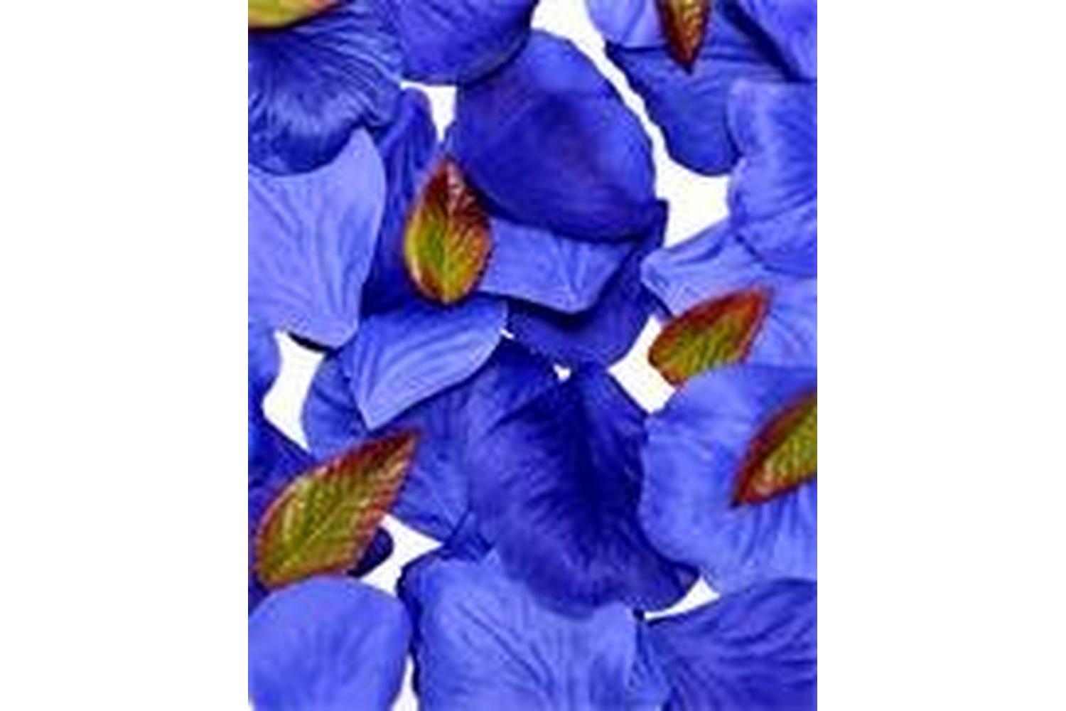 Occasions Gro-b1504na - Rose Petal Box - Rose Petals Pack Of