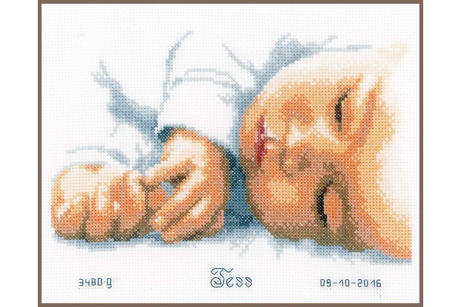 Vervaco Gro-pn-0154563 - Brec New-born - Counted Cross Stitc