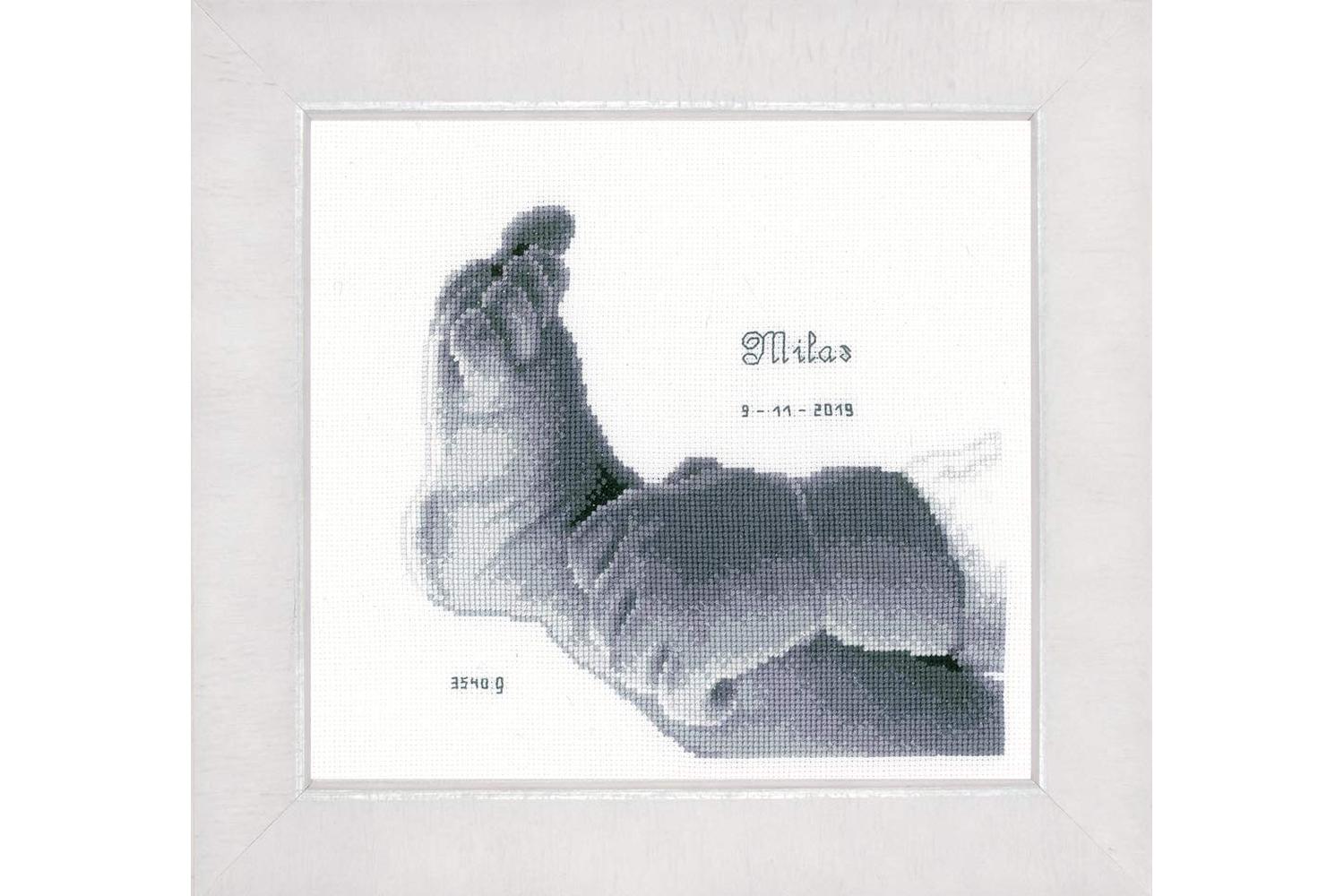 Vervaco Gro-pn-0158042 - Brec Little Bfoot - Counted Cross S