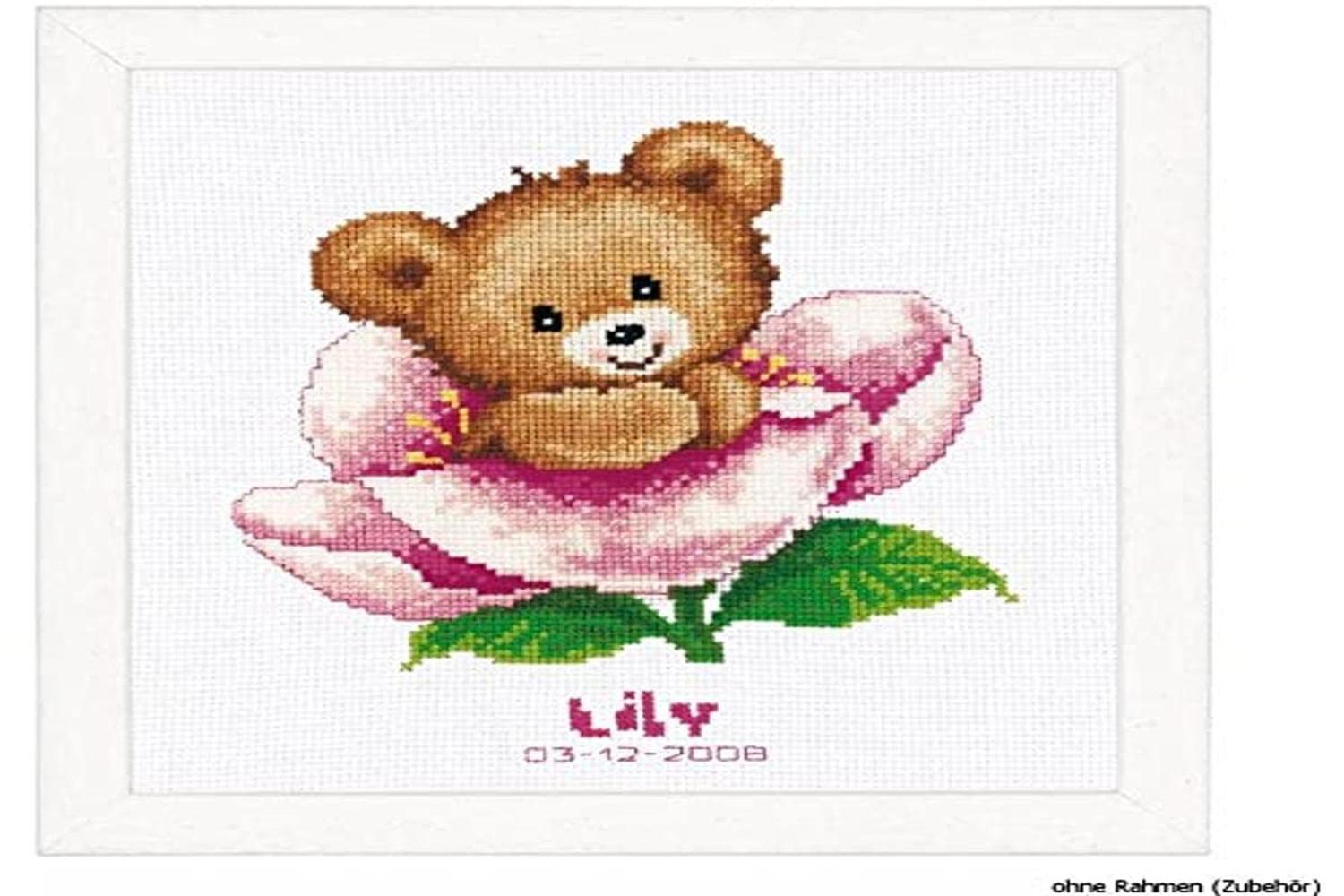 Vervaco Gro-pn-0011825 - Counted Cross Stitch Kit Birth Reco