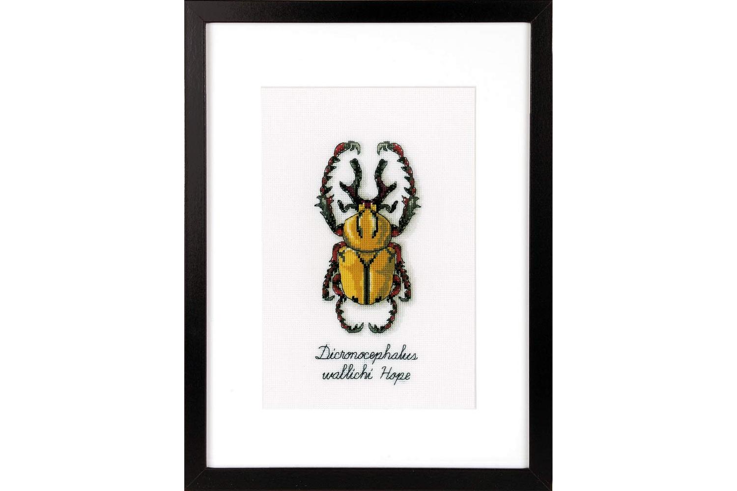 Vervaco Gro-pn-0165220 - Golden Beetle - Counted Cross Stitc