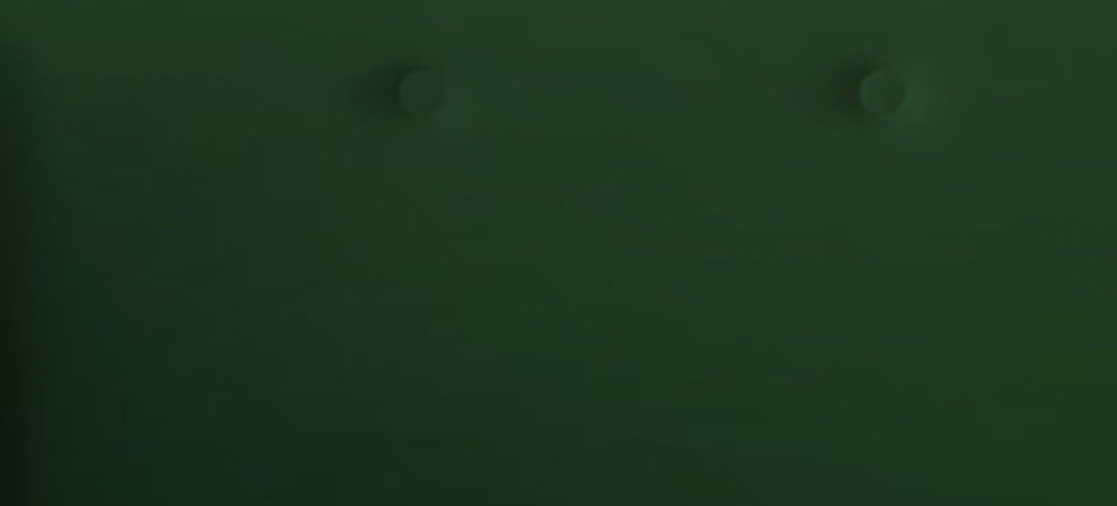 Silentnight | Evana Bed Frame with Slant Beech Leg | King | 5ft | Colour Options