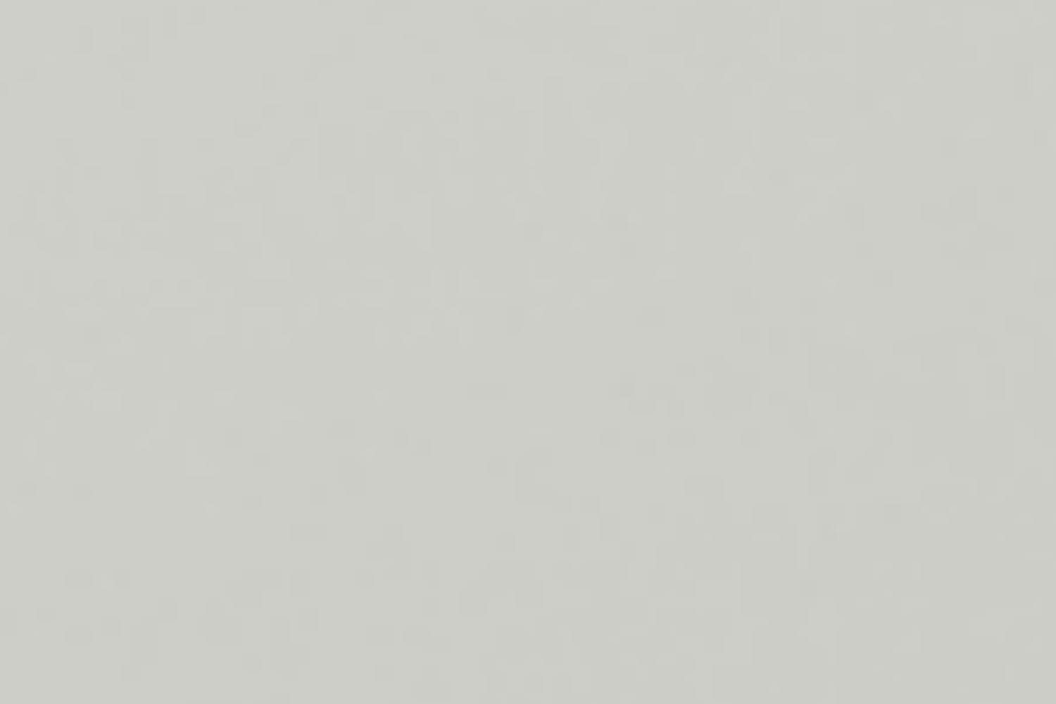 Lynwood Bed Frame| Colourtrend | 6ft